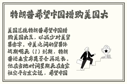 中文字幕精品亚洲无线码一区应用